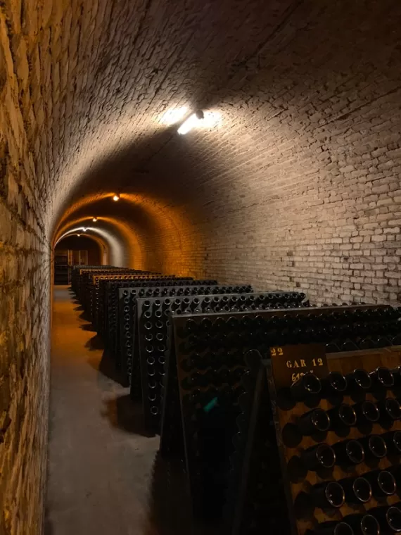 Négociant en vins bio à Bordeaux , Bordeaux, OENOTEX