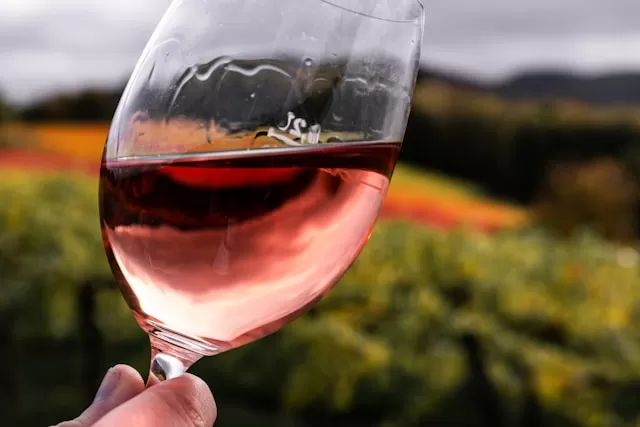 Distributeur de vins kascher à Bordeaux pour les particuliers, Bordeaux, OENOTEX