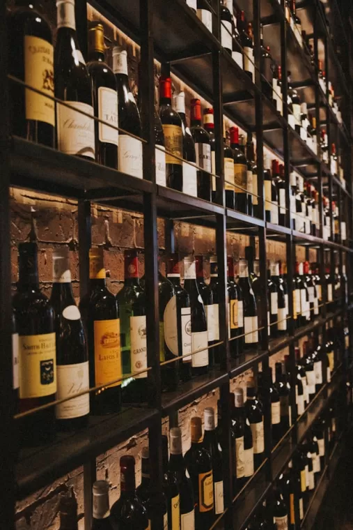 Vin de Bordeaux et gastronomie, Bordeaux, OENOTEX