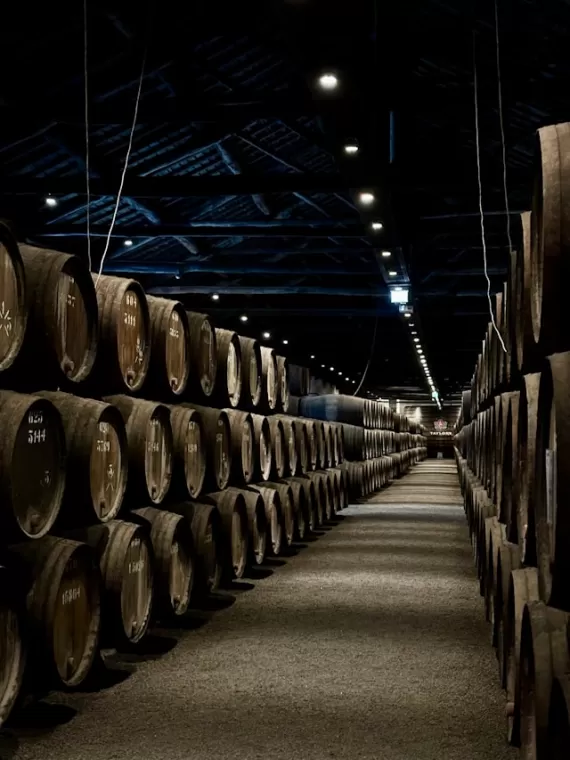 Vin pour investissement à Bordeaux , Bordeaux, OENOTEX